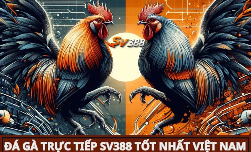 Hình minh họa — Sodo66